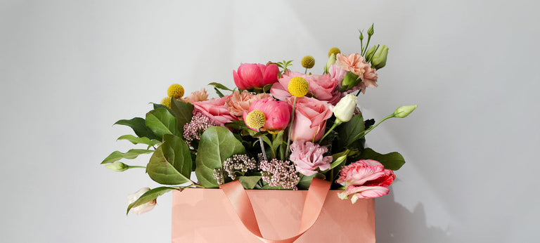 2025 Mother’s Day Gift Guide | Skincare Devices and Tools