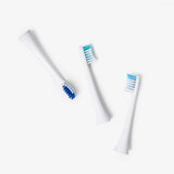 Replacement Brushes | Elements - 3 Pack (Large)
