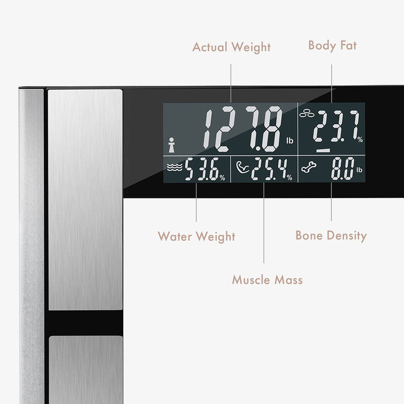Body Analyzer | Digital Scale & Body Analyzer.